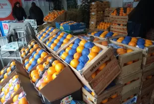 Se concretará la cuarta edición de la Fiesta de la Naranja de Ombligo. Foto archivo Visión Regional