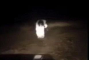 Imagen ilustrativa. Fuente: Arrecifes Noticias