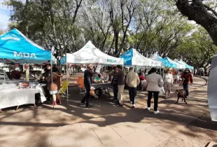 Mercado Bonaerenses se traslada al Paseo Público Municipal
